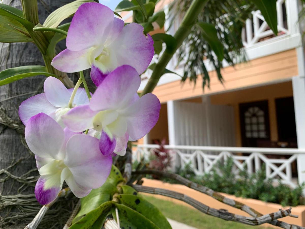 Buccaneer Beach Club Aparthotel Dickenson Bay Exterior photo